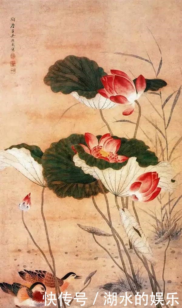 好漂亮的鸳鸯戏水图:祝愿天下有情人!