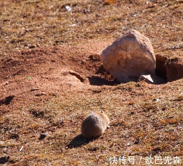 土空$3首篡改古人名作的古诗词,妙趣横生,千年后依然味道十足