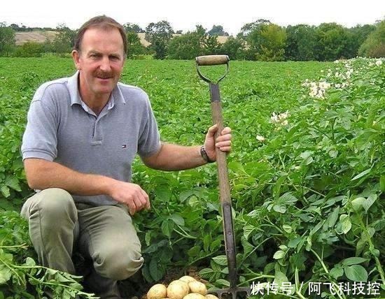 提示声|农民翻新房子,意外挖到价值上千万的金库,不过宝藏发掘后归谁