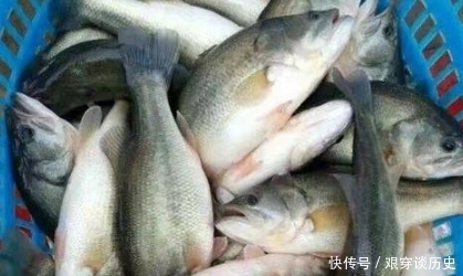 菜市场公认的“金牌”淡水鱼,价格便宜营养高,就连钟南山都喜欢