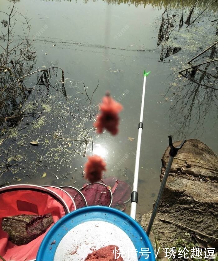 钓鱼|蚯蚓钓鱼早不灵了!看野钓大王都用这玩意,一次半瓶盖,天天爆护