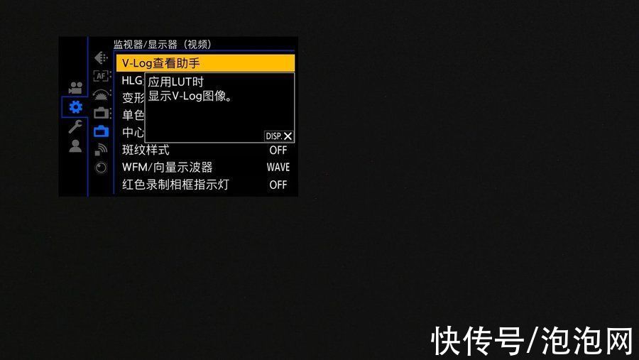 lut|初体验！松下LUMIX S5全画幅微单宠物视频拍摄