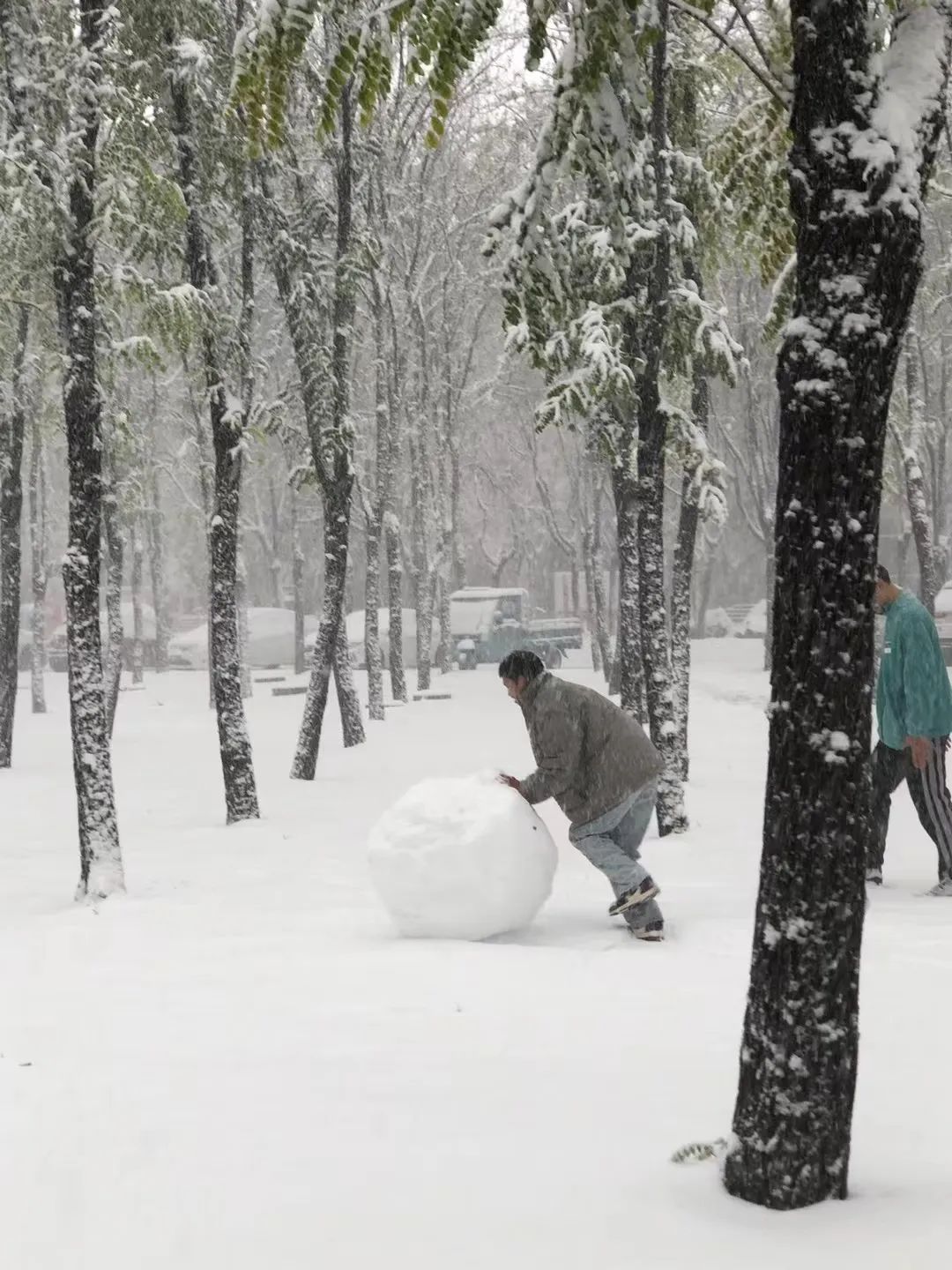 山东交通学院|千里一色！山东高校的“初雪”遇上“立冬”，浪漫绝绝子！