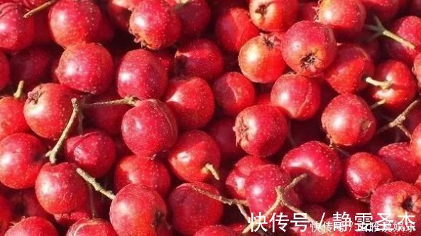 孕妇|怀孕的准妈妈,这几类水果最好别碰对胎儿发育和孕妇自身都不好