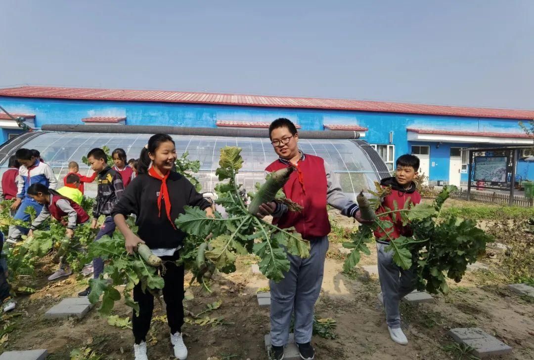 寓教于乐|【志愿服务我先行】小丰营小学：寓教于乐 服务社会