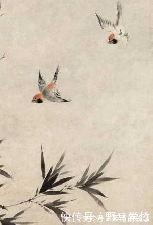 病猫&故宫一幅怪画,画中猛虎如病猫,放大一看,却是它吓蔫了老虎