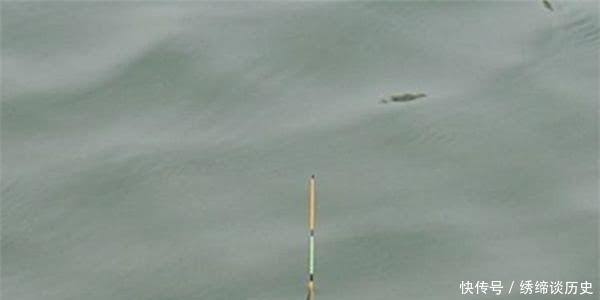 钓鱼时,一旦遇到这些“漂相”就要注意了,老钓友:都是假信号