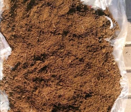 松针土采集回来,怎样处理才能养花?教你制作松针土