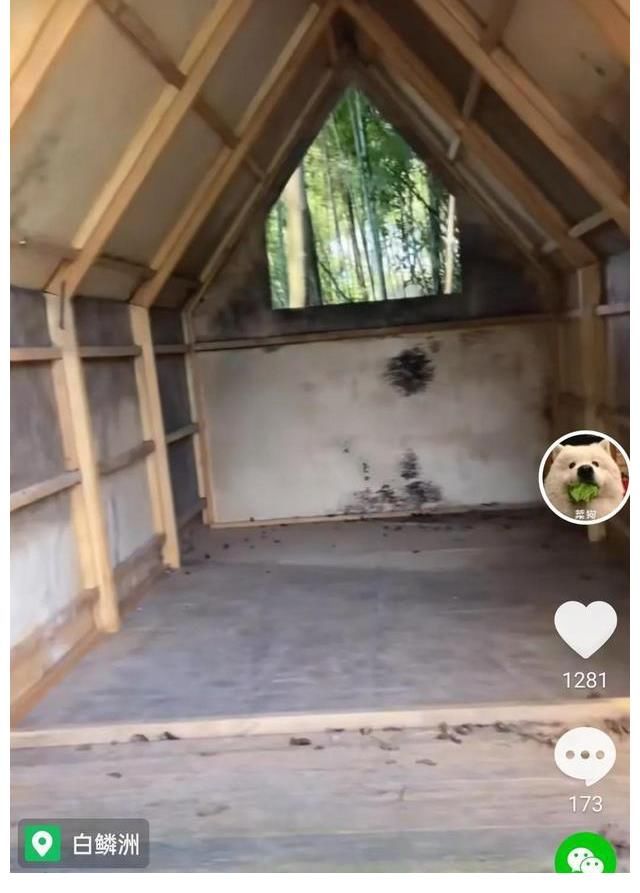 向往的生活|《向往的生活5》錄制地點(diǎn)現(xiàn)狀，圖書館無人管理，蘑菇屋一片狼藉