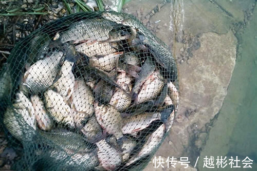 血本|大爷就是大爷,为了钓鱼真是下血本,这才是真正的钓鱼人