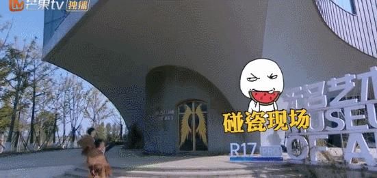 名学：嗑学界的终极天花板