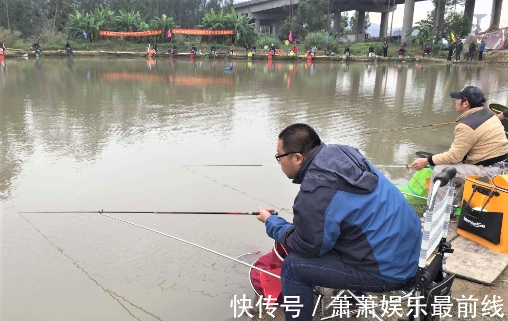 鲢鳙|秋季雨后哪几种鱼最好钓?怎样才能钓到更多的鱼?