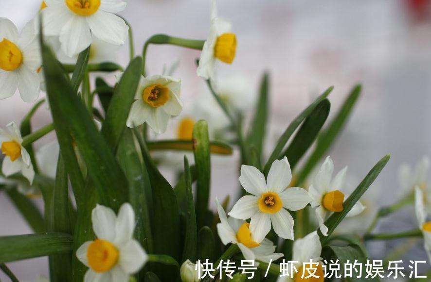 虽然是冬天,但这几种植物千万别放在卧室内