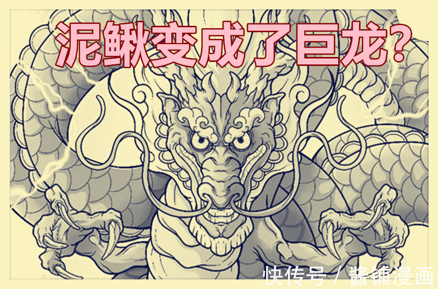 形态|海贼王1021话,尾田让桃之助变为大人,龙的形态会变巨大