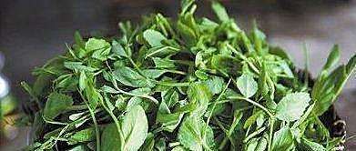 女性养生，适合坚持吃几种食物，排毒燃脂，滋养肌肤