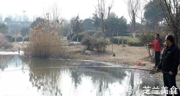 细聊钓鱼圈隐藏的六种虚假渔获!揭开它背后的真实目的