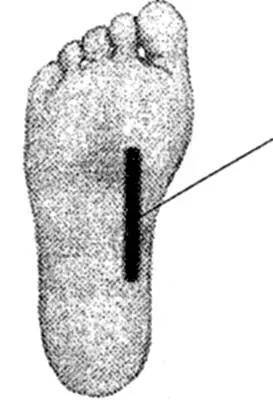 脚底|地筋隐于足,揉地筋必有神奇功效