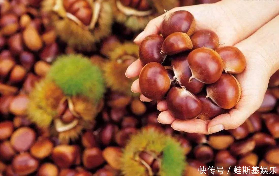 一过60不妨多吃3种食物,养胃健脾排毒抗衰,增强老年人抵抗力