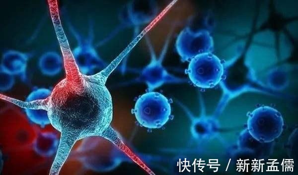 维生素e|硒能防癌抗癌营养师这4类食物是含硒大户,中老年人别错过