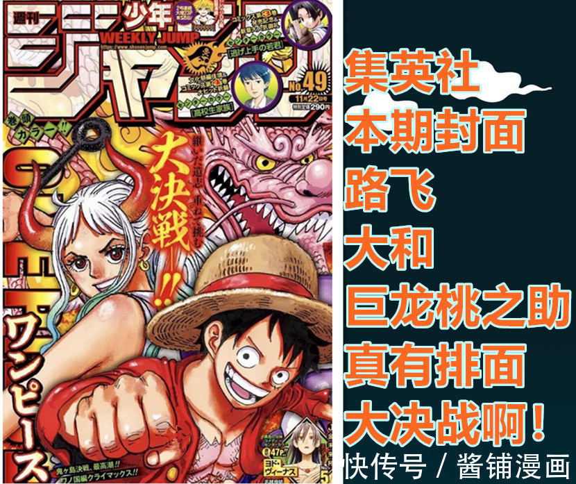 cp0|海贼王1031话,罗宾科普CP0三人组设定很特殊,布鲁克抱着罗宾撤退