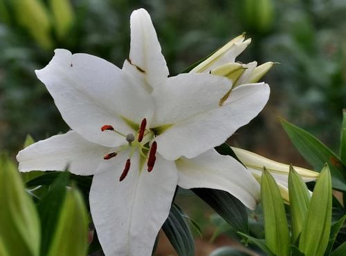 对身体很好的3种食物，值得吃一些，排毒养颜，有益健康！