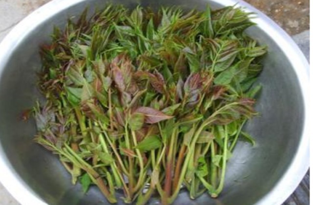 王士宁|明朝一位奇人,活了120岁,每天只吃两种食物,如今我们也爱吃