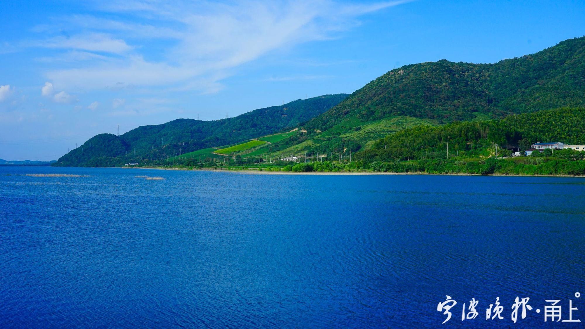 宁波|粗犷荒地“变身”精致花海！到宁波这里赏花“送”稀缺湖景