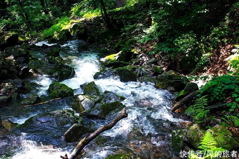 绿水青山|寻找最惬意的夏日，来这五个地方，一起感受被绿水青山环抱