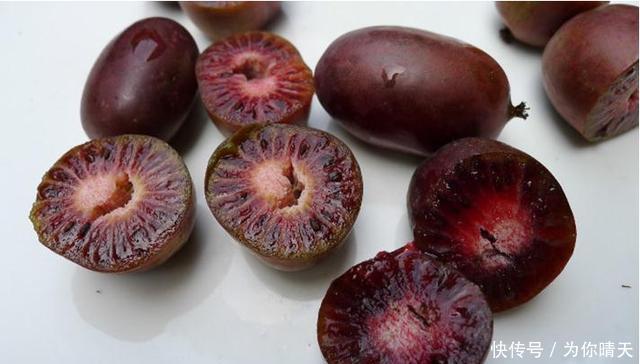 我国最甜的水果,比蜂蜜甜10倍!放“冰箱”冻不死,插土就活!