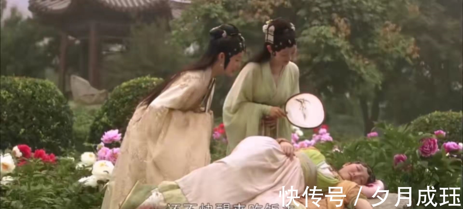 芍药!没有对比就没有伤害,一个简单的睡姿,看两版《红楼梦》的差距