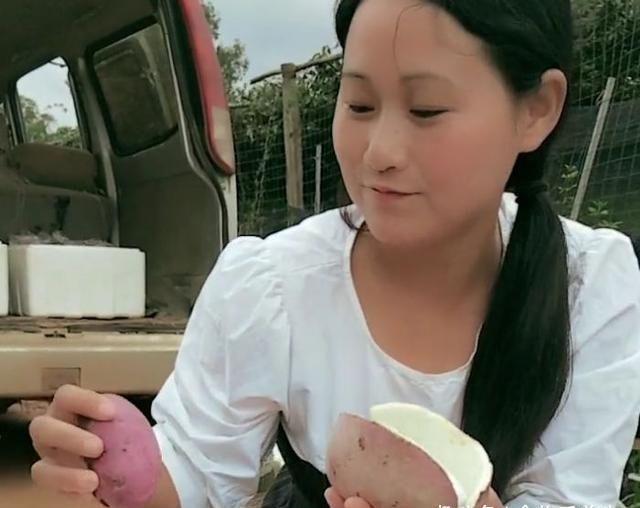 两用|农村漫山遍野的“它”是一种药食两用的水果,一斤20元需订购