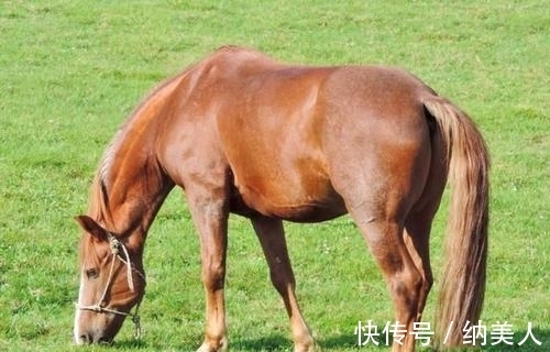 横财|7·6-7·31这三生肖，运势大红大紫，接财神迎贵人，财富如雨不差钱