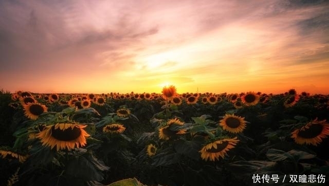 2021年的流行元素,“辉煌”二色,时髦又高级,你穿对了吗?