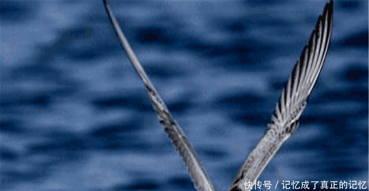 经典|乾隆出上联 “客上天然居, 居然天上客”纪晓岚对的下联堪称经典