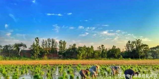 闻香识河南之新乡长垣号!