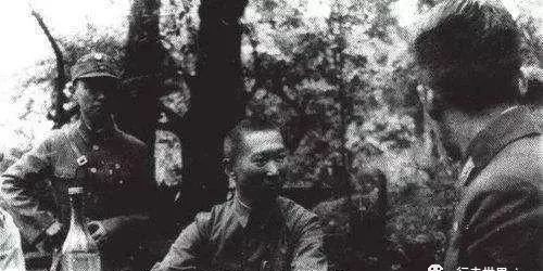我军|为了全歼日军106师团,我军失去了两个精锐师团,最终胜利