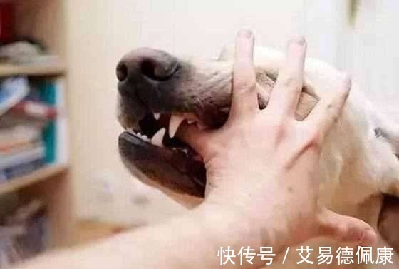 爷爷奶奶|3岁宝宝神志不清, 流口水离世, 医生的话爷爷奶奶不接受