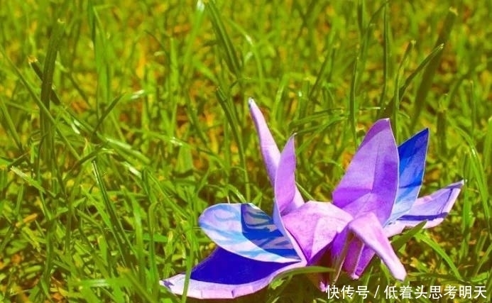  重样|每天折一只千纸鹤，他坚持了1000天不重样，女友被感动到梨花带雨