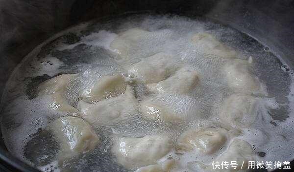 搅拌均匀|入秋后，就馋这个馅的饺子，东北人就好这一口，比萝卜韭菜鲜多了