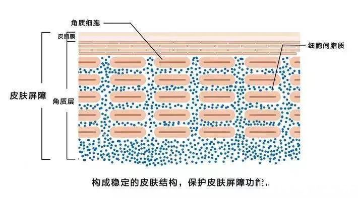 高浓度 烂脸警告！敏感肌一定要看！（建议收藏）