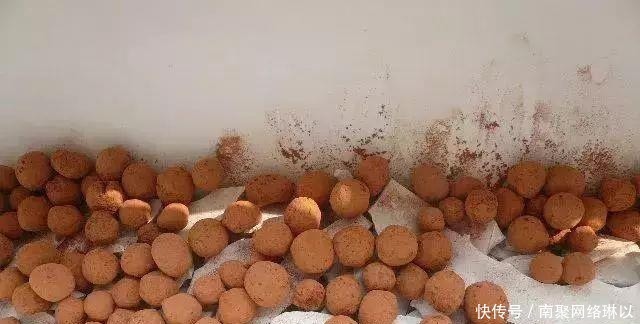 开槽|阳台别再晒衣服了,用一根水管,就能种出全家人吃的菜!