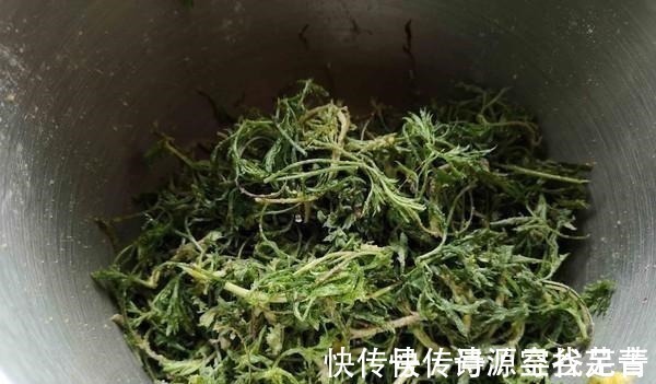 野菜|日本人每天必吃的“长寿菜”，我国产量大但没人吃，含钙比牛奶高！