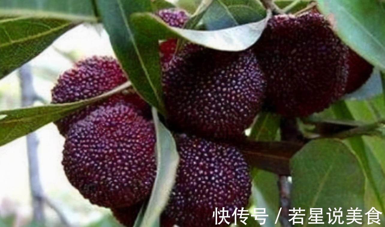 养护|女性中年爱美,适合多吃的食物,排毒清肠,养护肌肤,促进消化