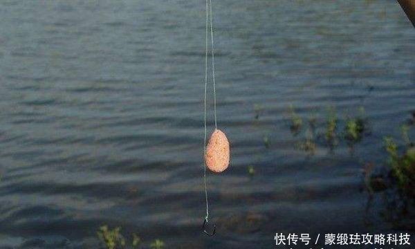  窝点中|手竿钓鲢鳙的4大秘诀，常用这些老招数，鲢鳙就是最好钓的鱼