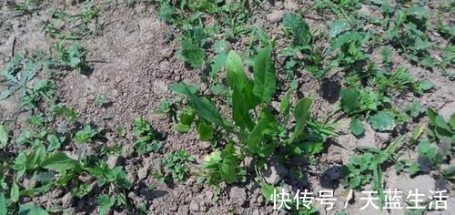 孝心|出生在几点钟的孩子，受到长辈疼爱，长大后出人头地，反哺双亲