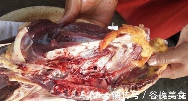 寒冬腊月此肉再贵也要吃,一整年不咳嗽,比牛羊肉还滋补,香极了