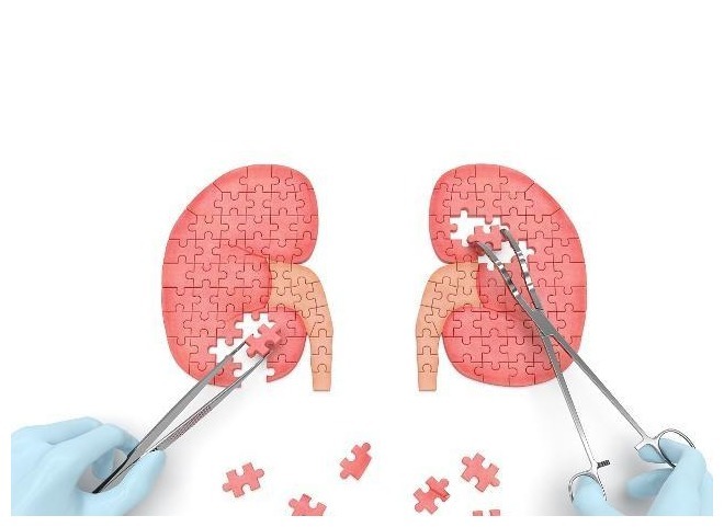 肾脏|“肾”好不好看脚，若脚上没有这3种迹象，可能你的肾保养的很好