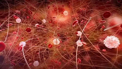 鱼类|吃鱼对身体有害？提醒：这4种鱼尽量少吃，或会加重身体负担