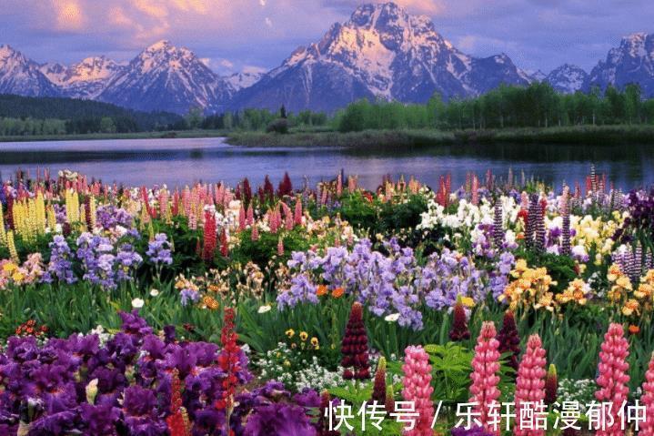 身边人|半个月后,4个星座,找回梦想,重拾自信,工作顺利,家庭美满