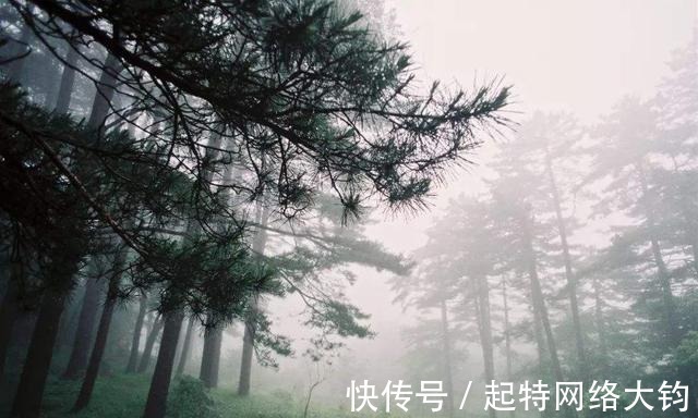 栾廷玉$梁山好汉排名疑云,孙立朱武屈于地煞,解珍解宝为何能位列天罡?